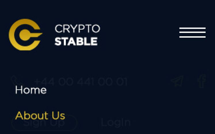 Crypto Stable