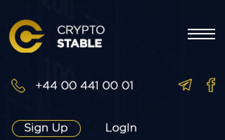 Crypto Stable